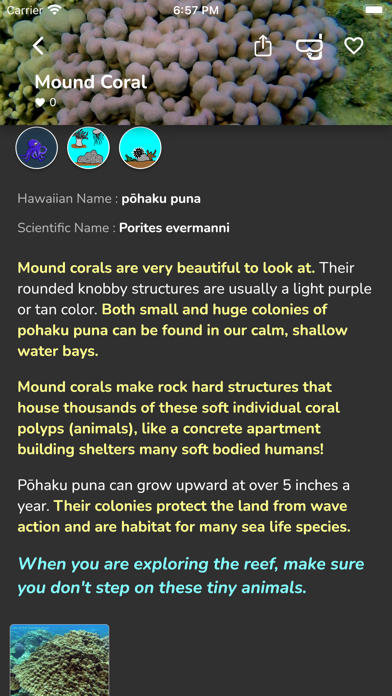 Hawaii SeaLife Screenshot