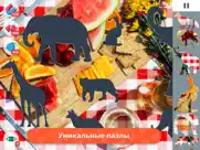 jigzmo－Анимированные пазлы hd айпад изображения 2