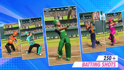 RVG Real World Cricket Game 3Dのおすすめ画像4