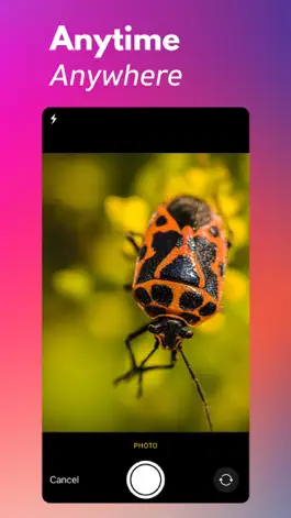 Game screenshot Bug Identifier+ apk
