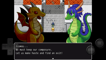Puzzle DragonMirroreD Screenshot