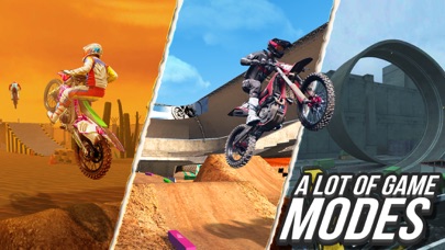 Real Crash Bike - MX Derby Screenshot