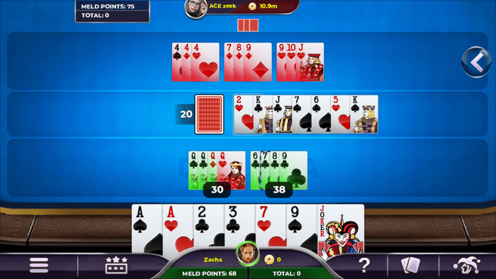 Rummy 500 - Card Game