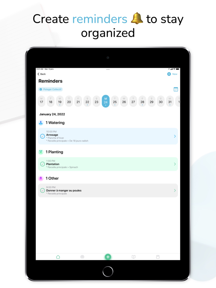 Tomate and Basilic- Permaculture