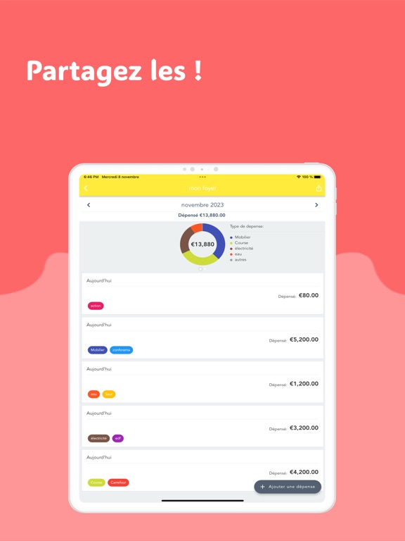Construction Expense Manager iPad screenshot 4 - Business app