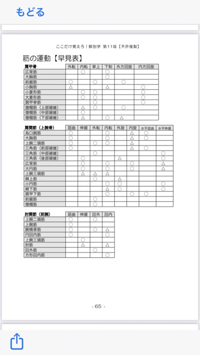 解剖学NOTE 第11版のおすすめ画像5