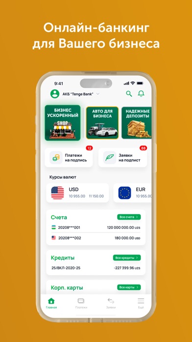 Tenge  Business Screenshot