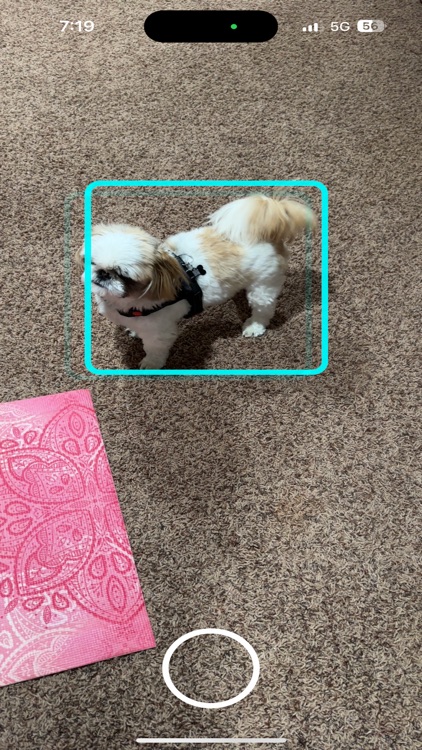 E-Cycle - Recycling Made Easy screenshot-3