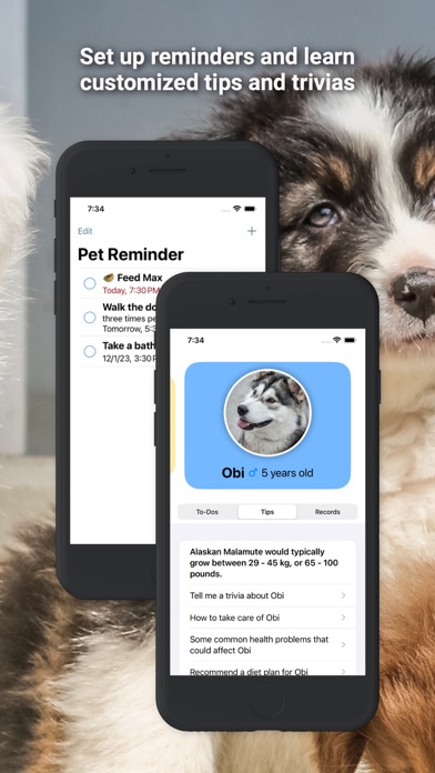 Pet-Care Screenshot