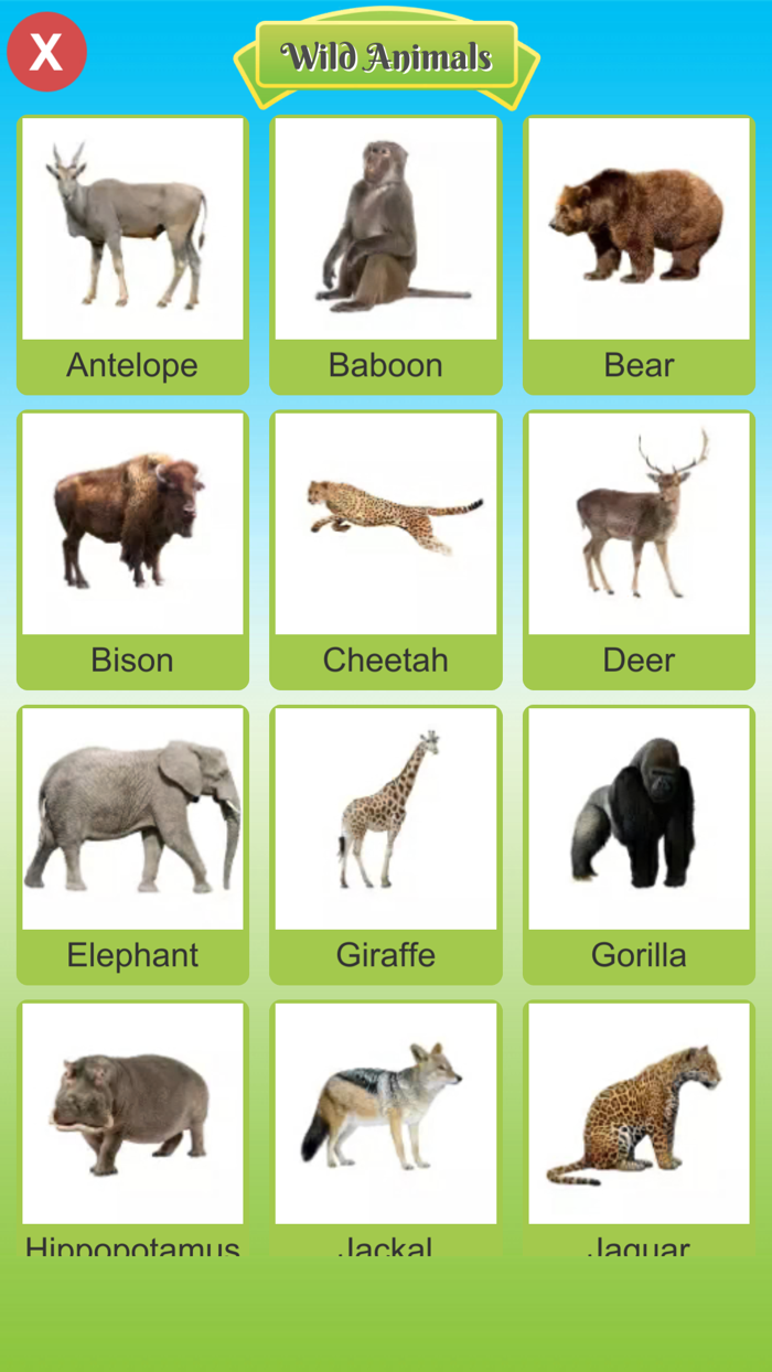 Perfect Picture Book