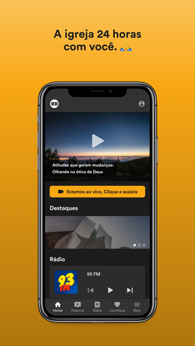 IEBDOURADOS Screenshot