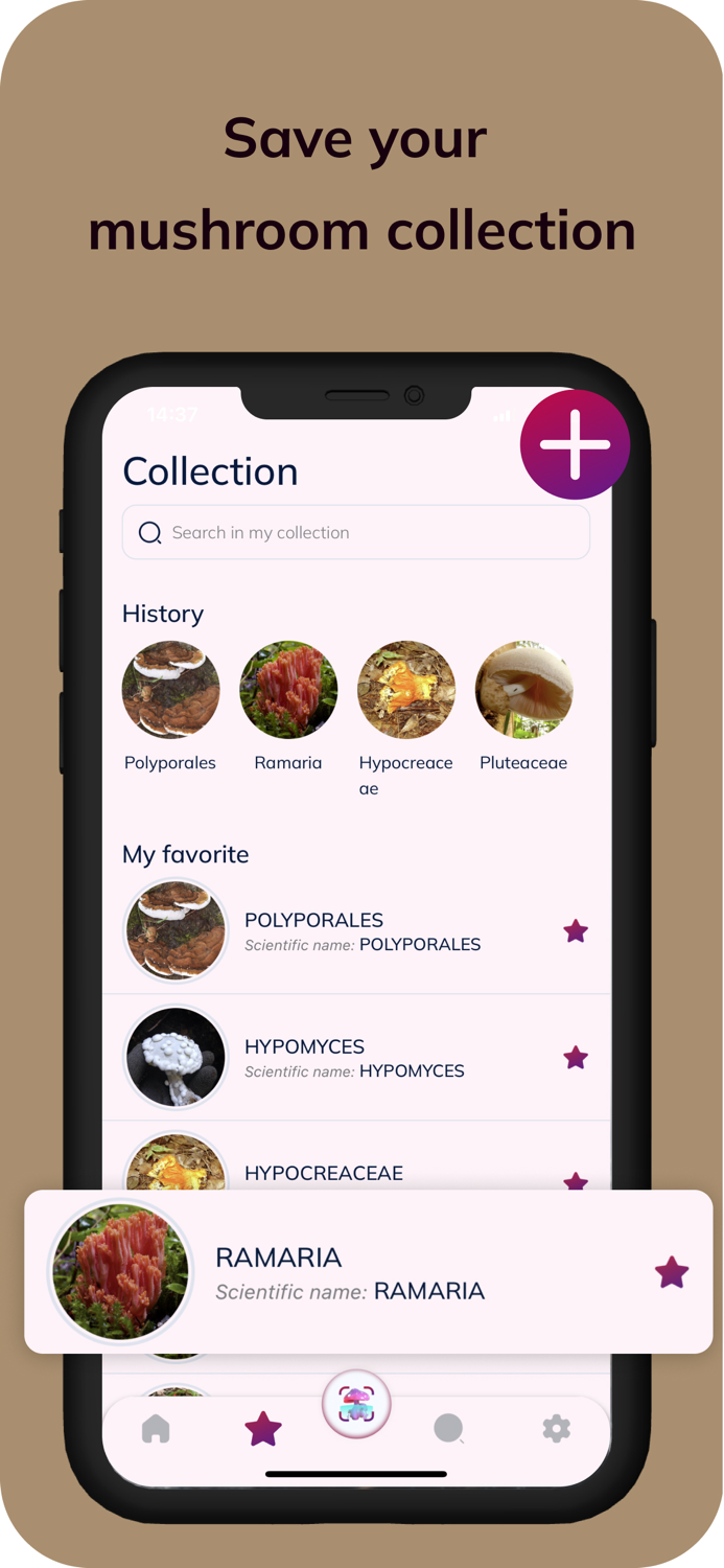 MushroomAI Fungi ID and Guide