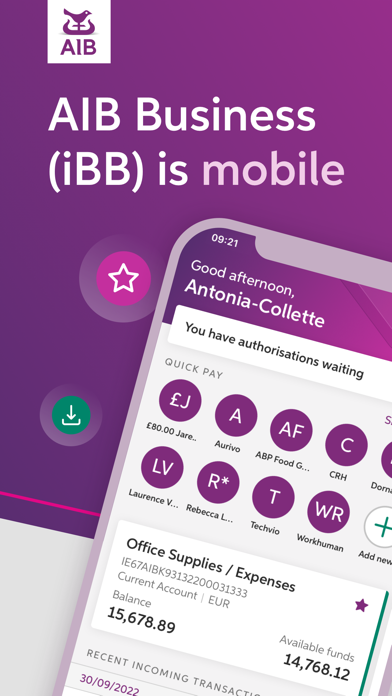 AIB Business (iBB) Screenshot
