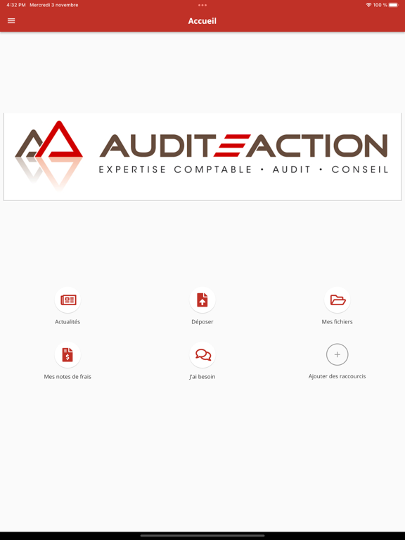 Screenshot #5 pour Audit Action