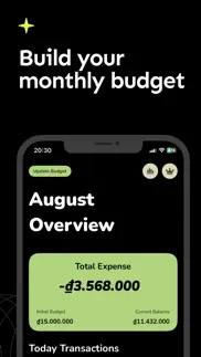 expense cap - expense tracker iphone screenshot 2