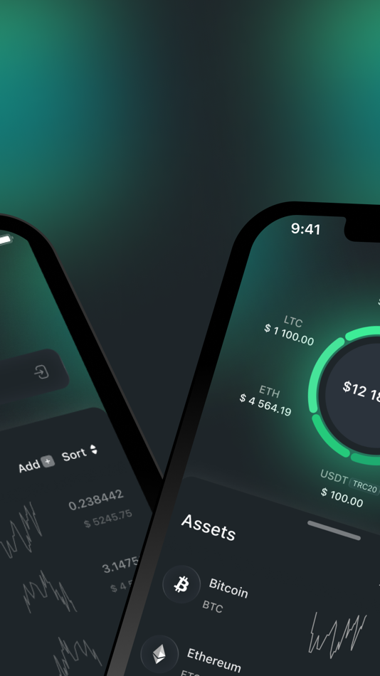 #3. Rubicon Wallet (iOS) 由: Rubicoin Software Company OU