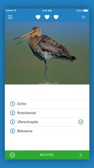 Screenshot von Vogelführer 2 LITE auf dem iPhone 5