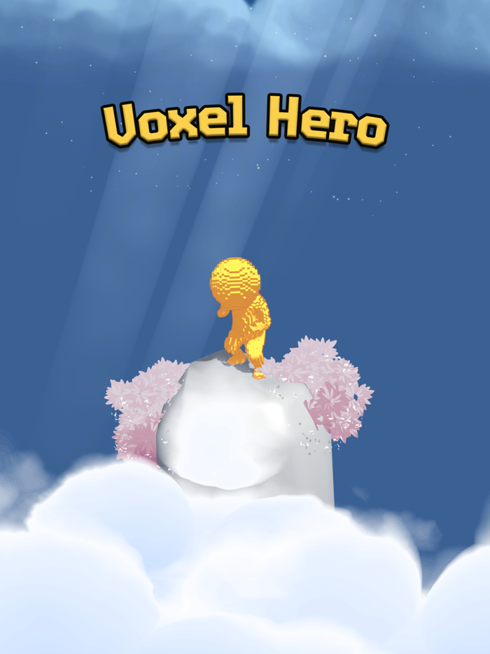 Voxel Hero 3D