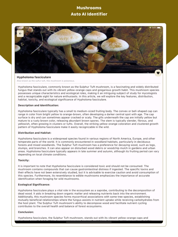 Screenshot #6 pour Mushroom ID : Identifier, Scan