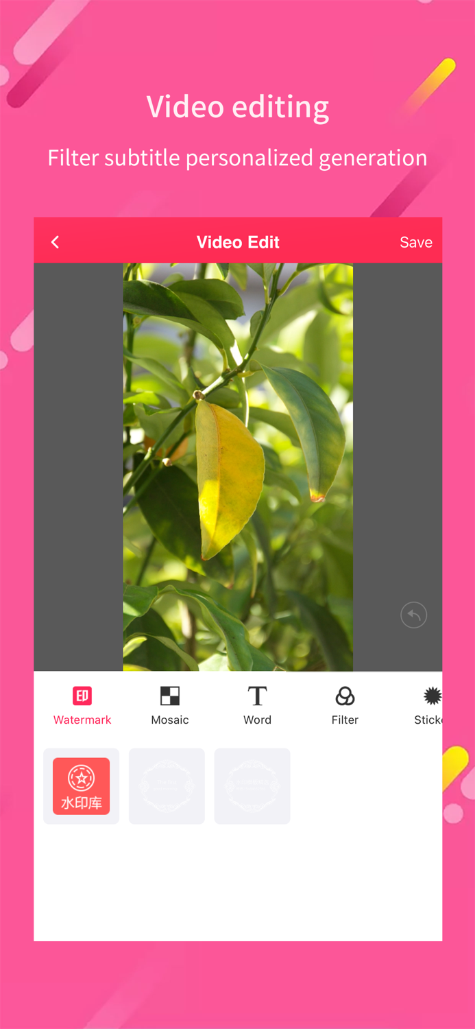 Watermark video Maker