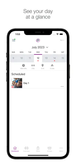 Game screenshot PROnatal Fitness apk