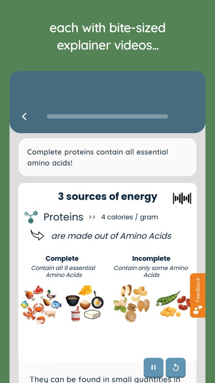 Habit Monkey: Healthier You