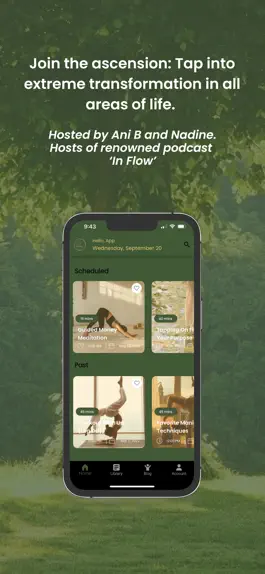 Game screenshot Flowi apk