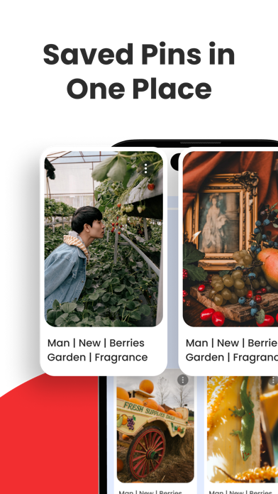 PinSaver - Save Pin Video Screenshot