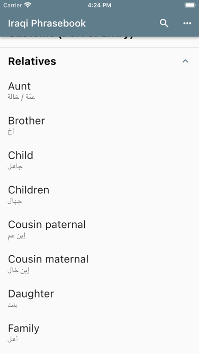 Iraqi Phrasebook Screenshot