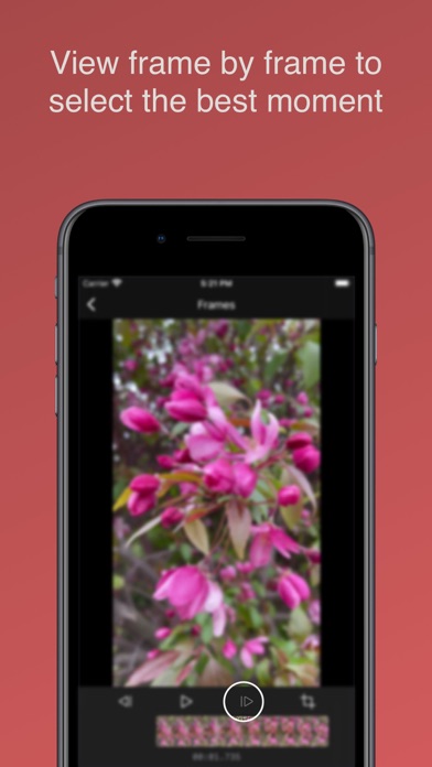 Grab Frame - Video to Photo Screenshot