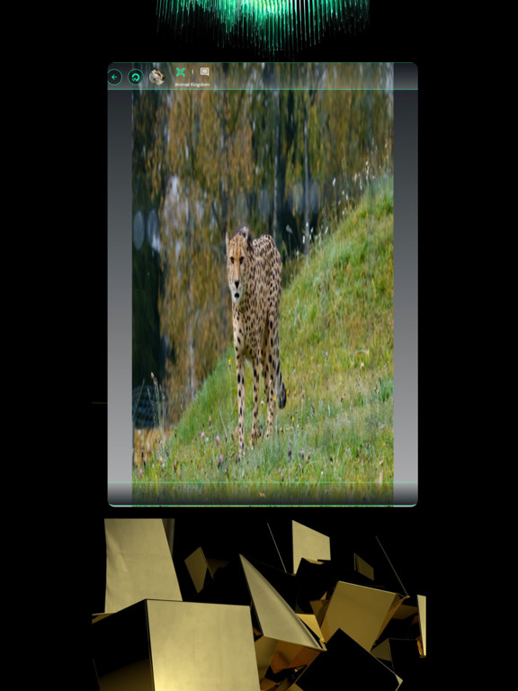 Metagoogol iPad screenshot 2 - Social Networking app