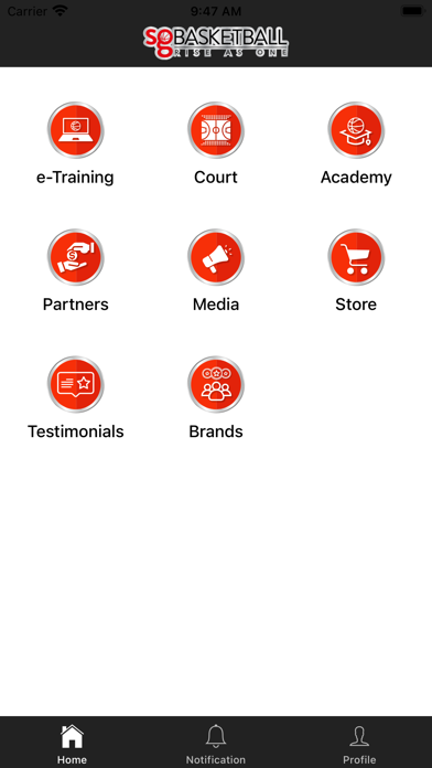 SG Basketball Screenshot