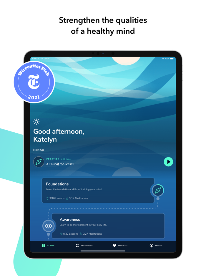 Healthy Minds Program