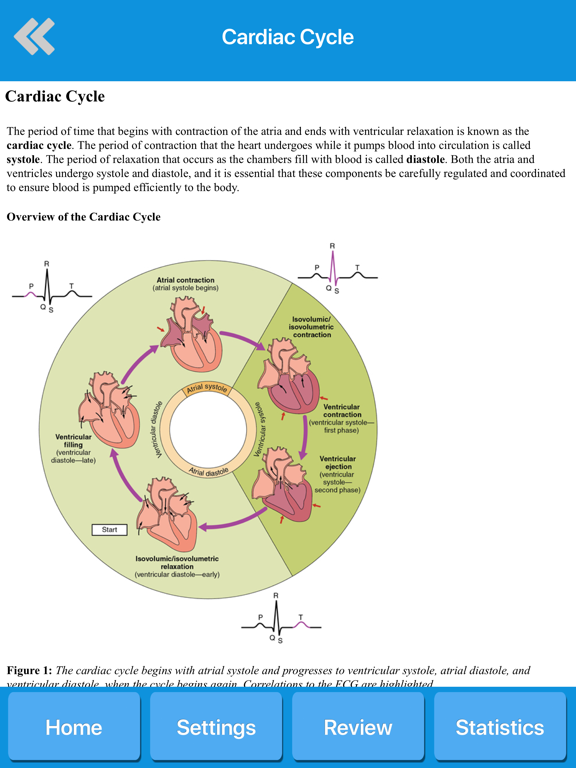 Screenshot #6 pour Circulatory System Anatomy
