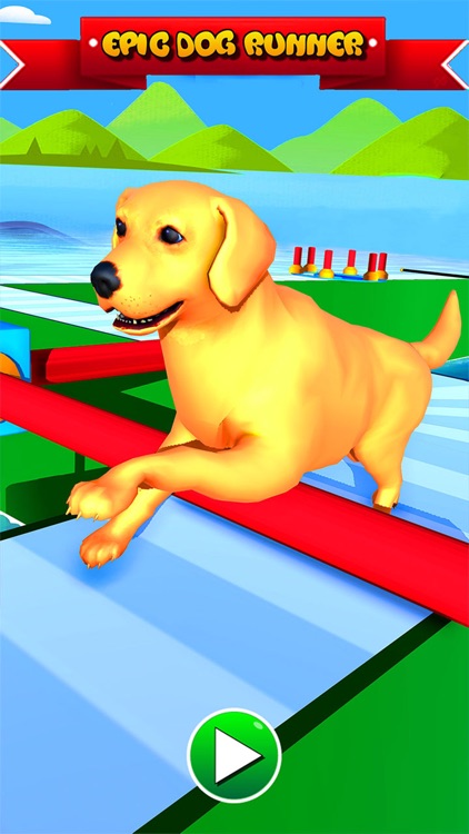 Epic Dog Fun Run Race 3D screenshot-5
