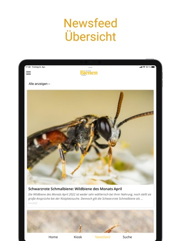 Deutsches Bienen-Journalのおすすめ画像9