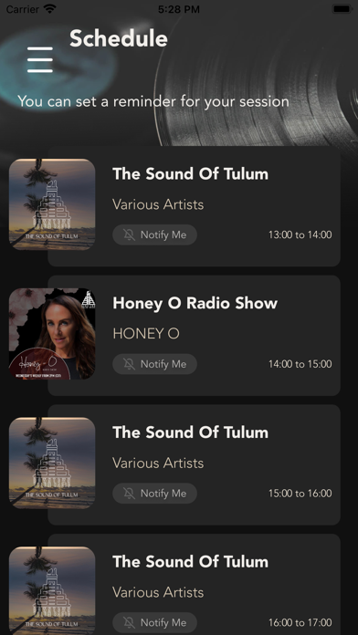 Screenshot #2 pour Downtown Tulum Radio