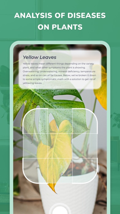 PlantID - Plant identifier++ Screenshot