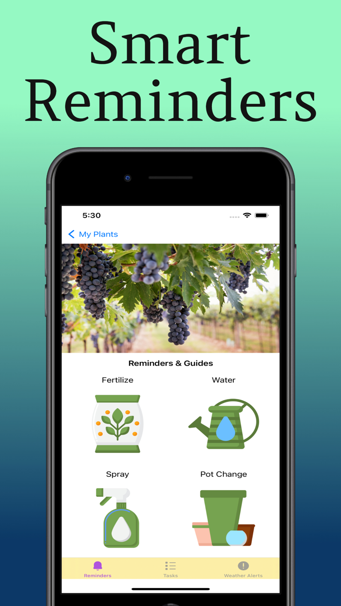 Plant Care Guide and Tips