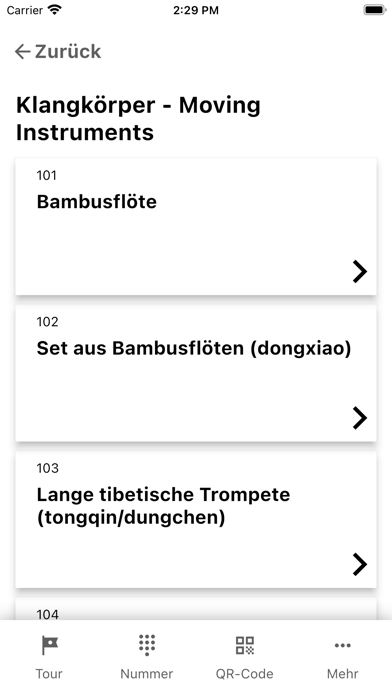 Völkerkundemuseum vPST Screenshot