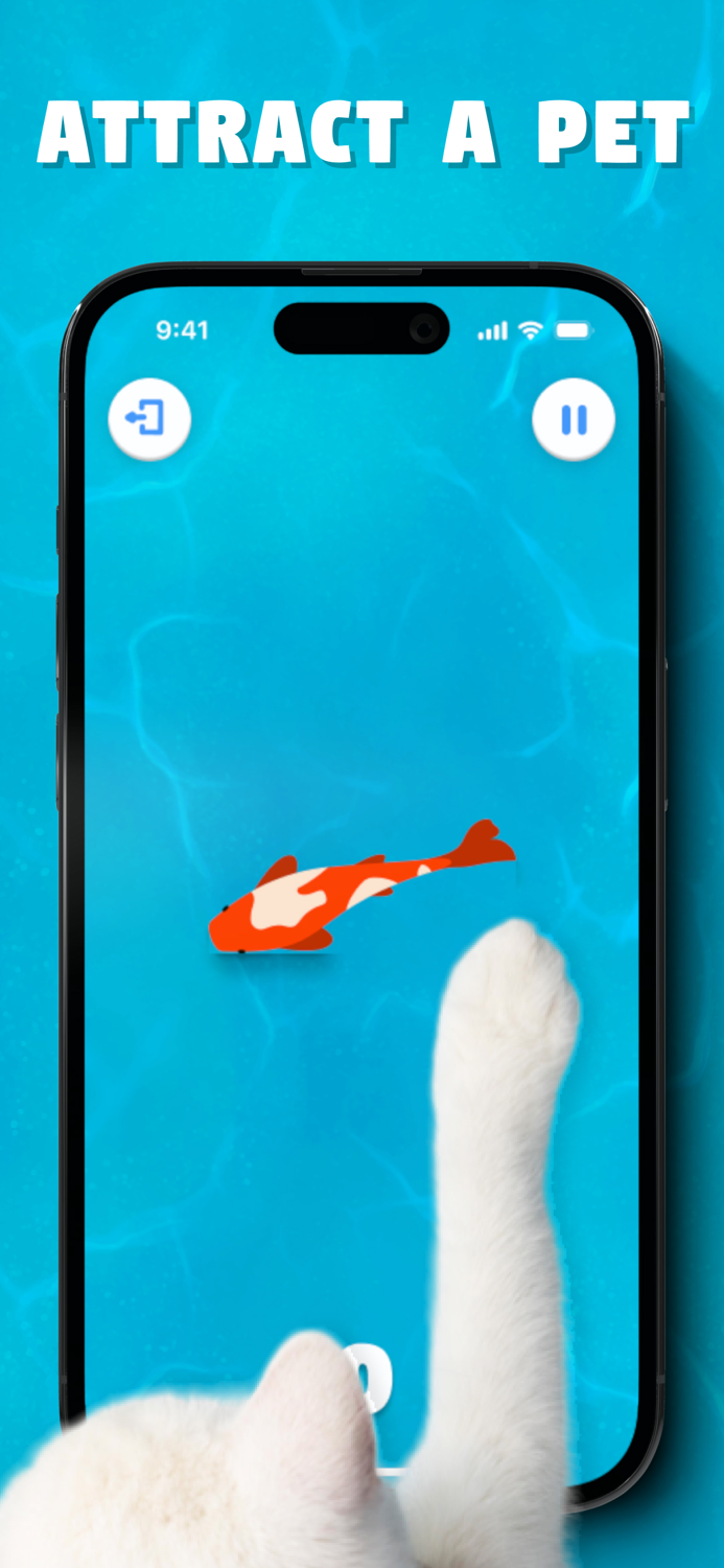 Games for Cats Catch a Toy