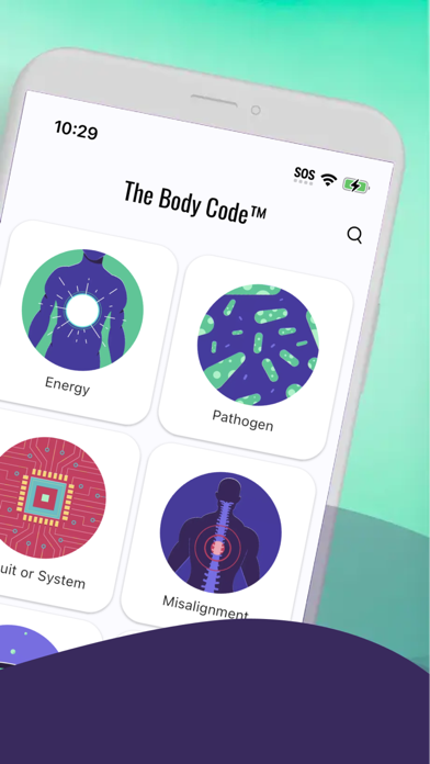 The Body Code System Screenshot