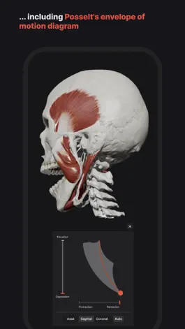 Game screenshot Skull, Teeth & TMJ apk