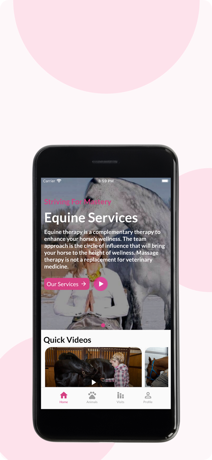 Inhand Equine Therapy