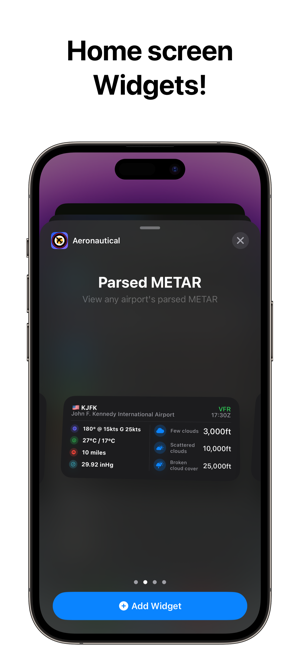 ‎AeroNautical - METAR and More Screenshot