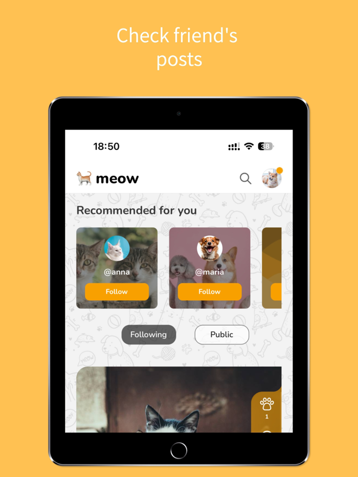 Petigo - Connecting pet lovers