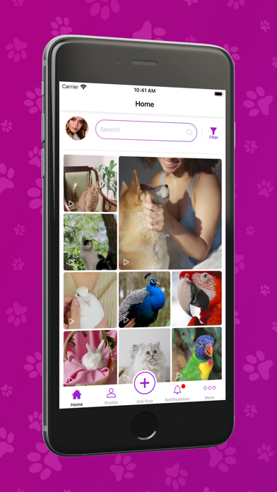 Screenshot #1 pour Pnut