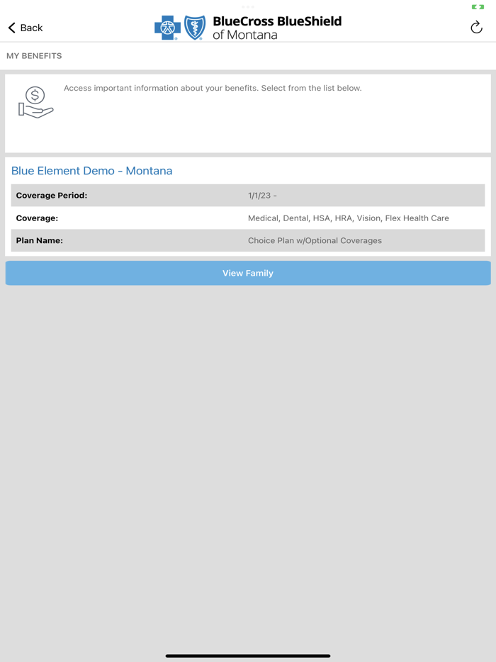 Blue Element MT Mobile