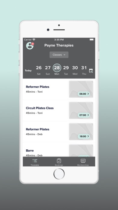 Payne Therapies Screenshot