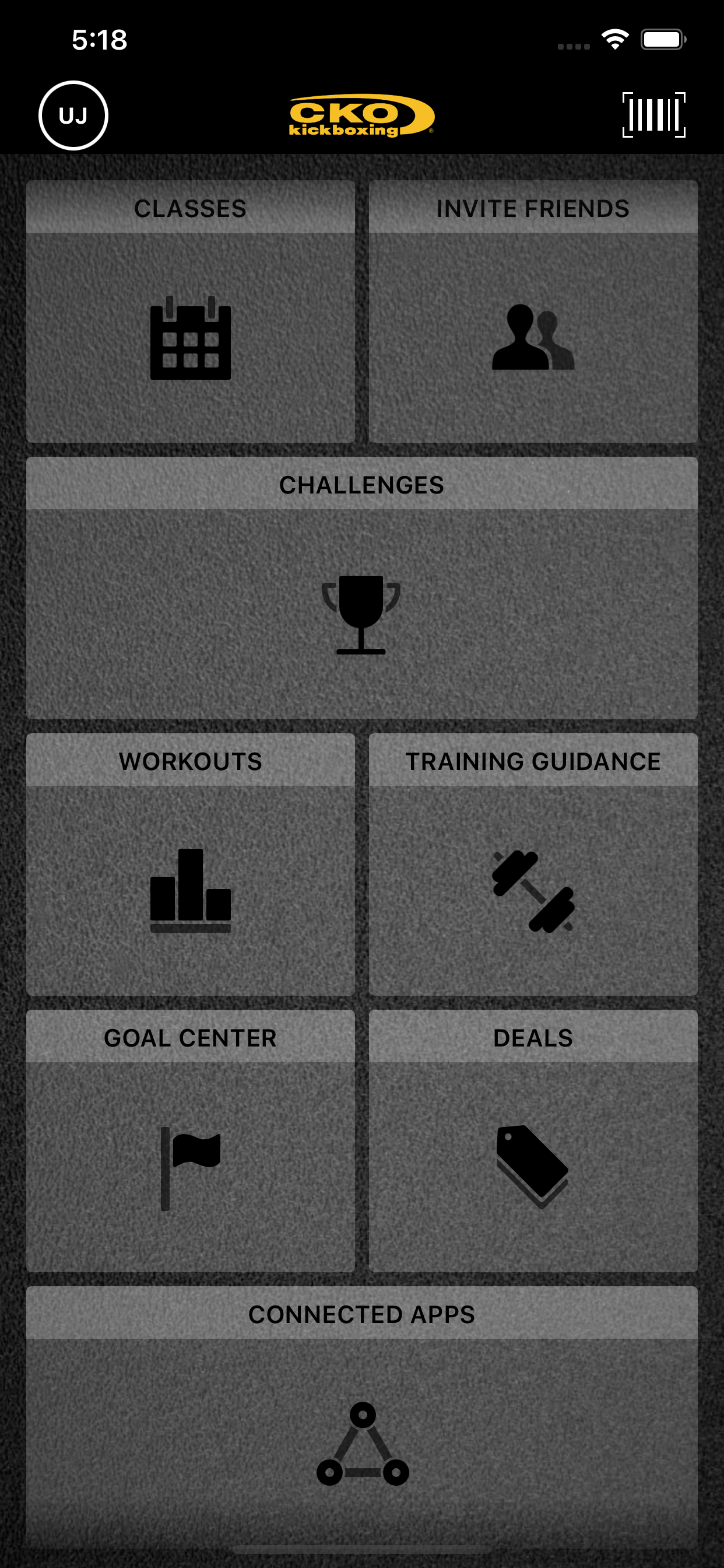 CKO Kickboxing.
